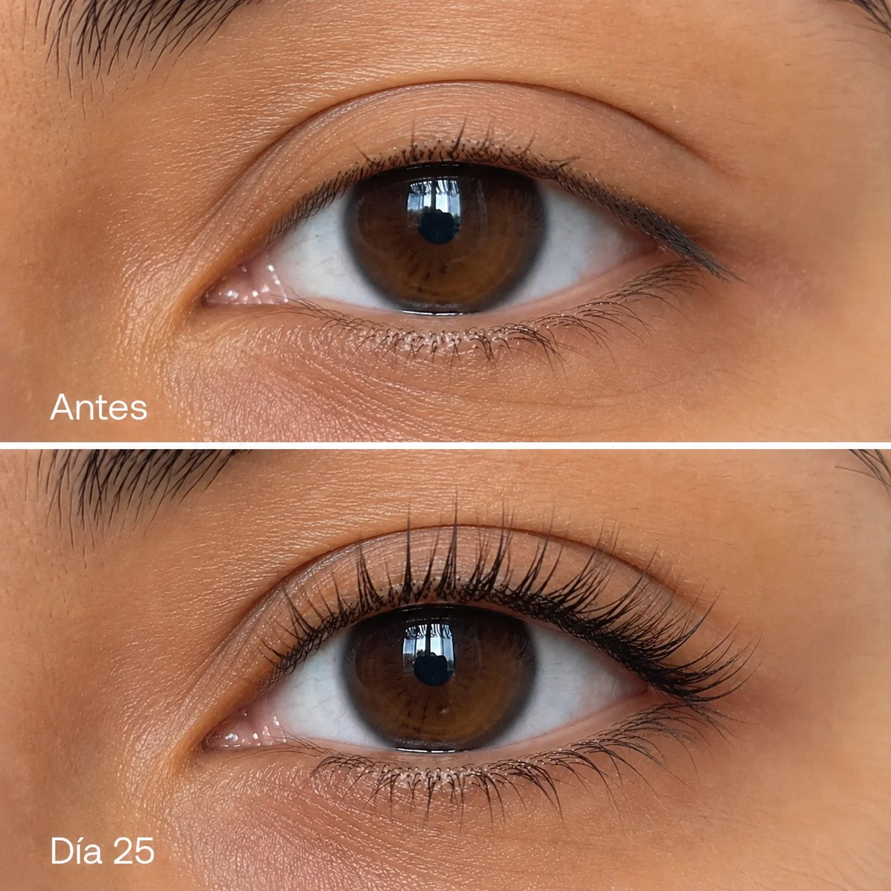 Serum Reparador de Pestañas Milash — Más largas y densas en 25 días · 0 Prostaglandinas